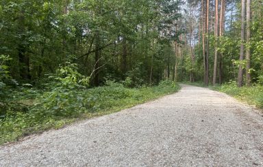 Umowa na „Zagospodarowanie terenu leśnego przy ul. Warszawskiej   w Ostrołęce” podpisana